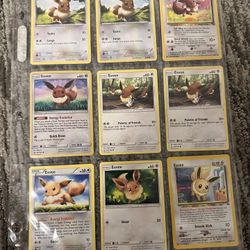 Pokemon Card Evie Collection