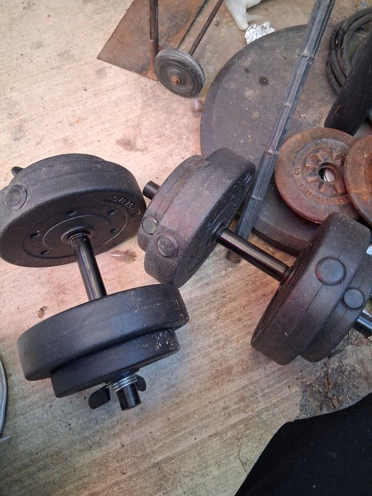 Plastic dumbbells twenty pounds each