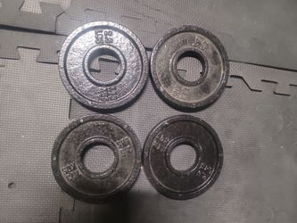 2.5 lb Cast Iron Weight Plates Set of 4
