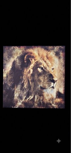 Lion Portrait Canvas Wall Art