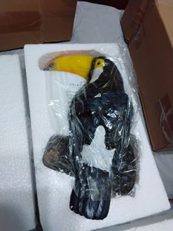 Toucan Tree Hugger