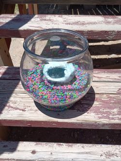 Small Fish Tank