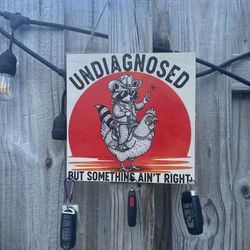 Raccoon Cowboy Chicken Key Holder – Wood Canvas Wall Art, Undiagnosed Decor