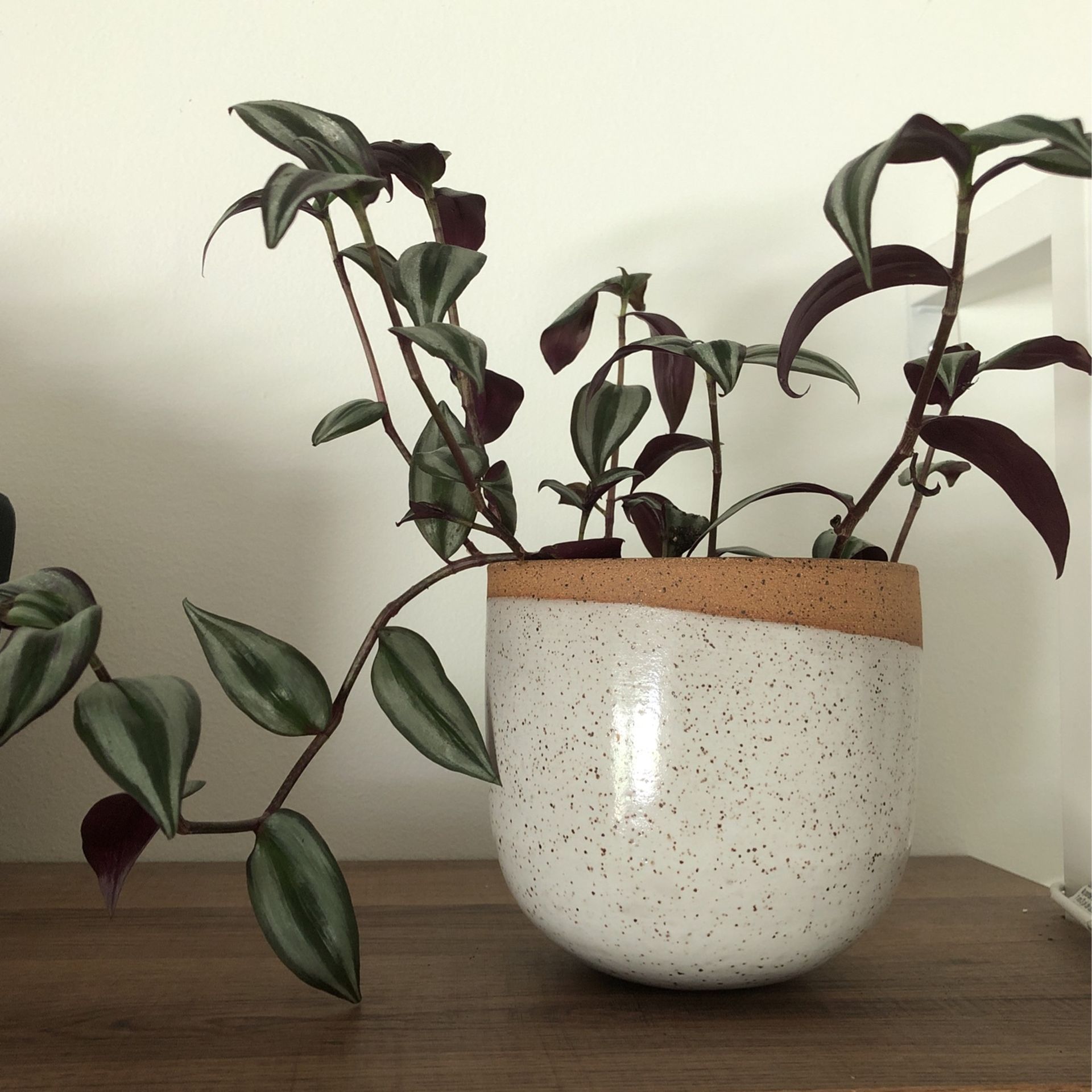 Ceramic Planter, Handmade Pottery, Hanging Planter