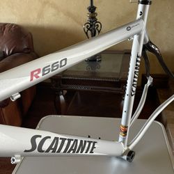 Like New Scattante 54cm UltraLite Frame set
