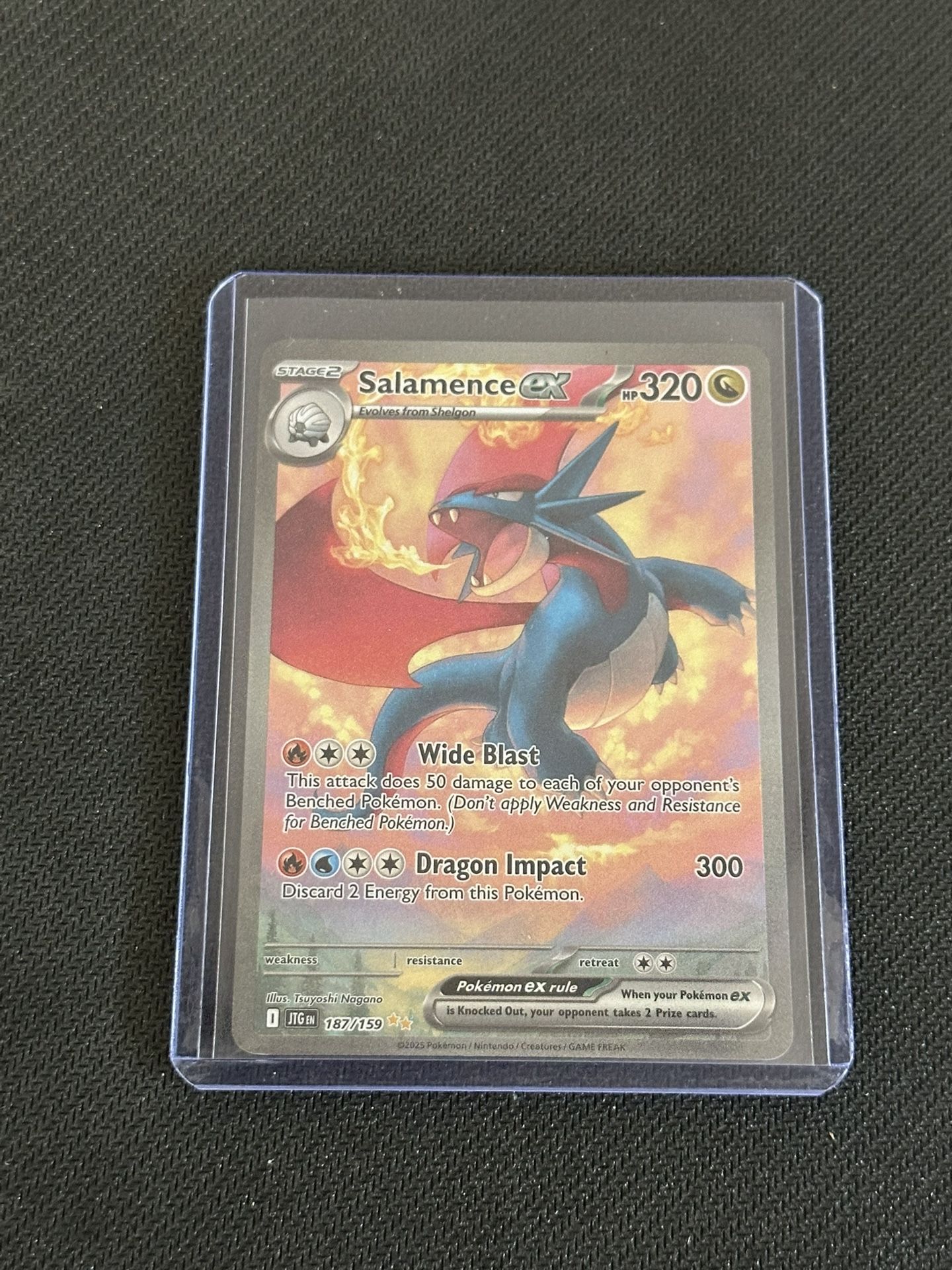 Salamence SIR