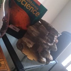 Aquarium  cave/ Terrarium Cave Hideout 