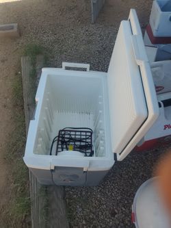 Travel ice Chest  Cooler  By IGloo  plug in  on the car 12v I ASK  $75.00 cash