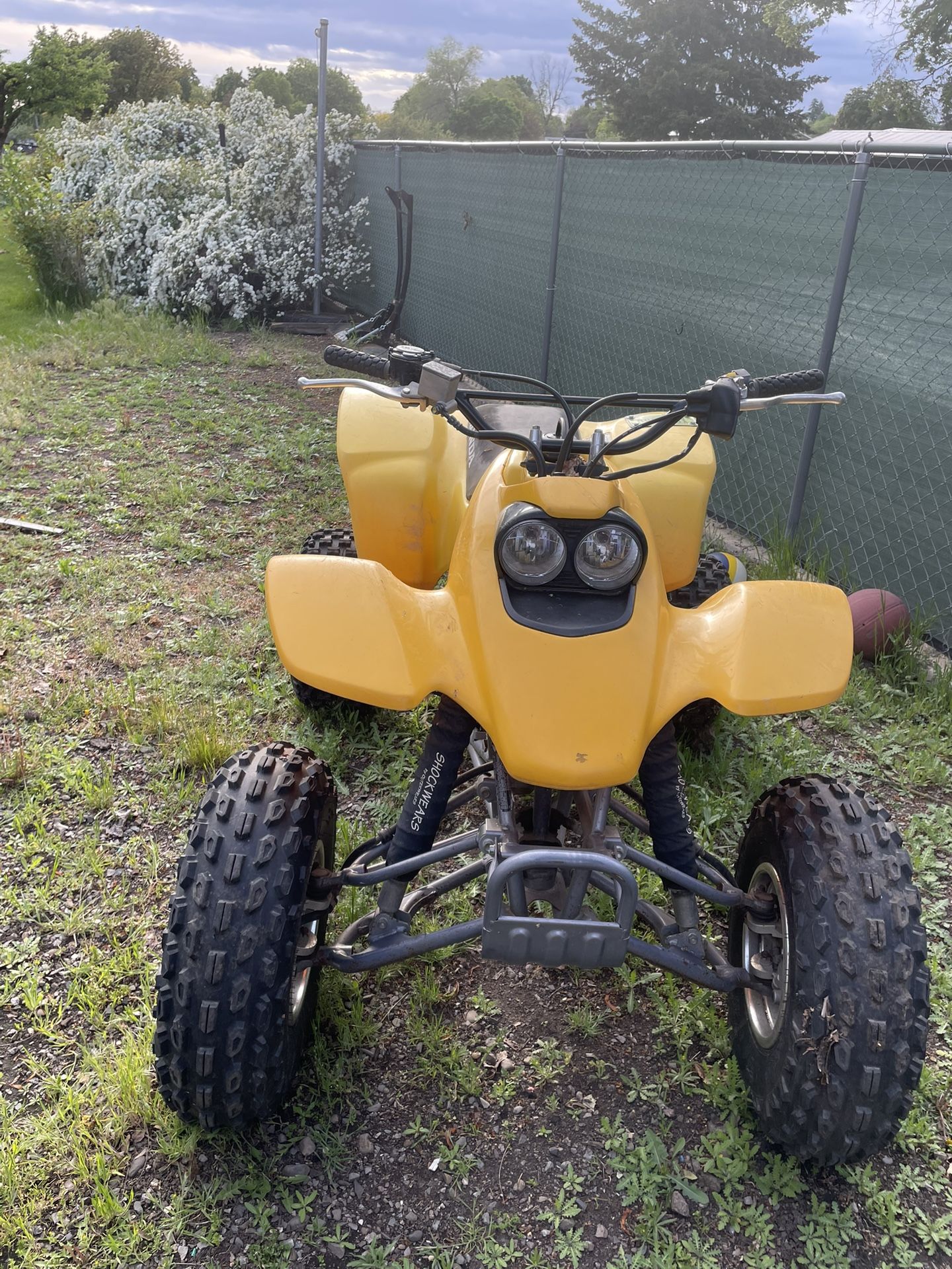 Honda 2002 ATV