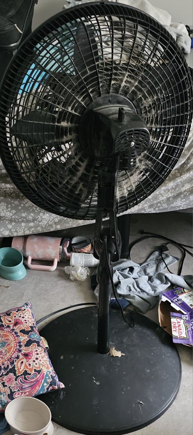 Lasko Fans with remotes