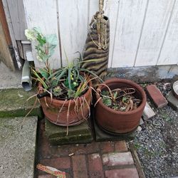 Nice Planters