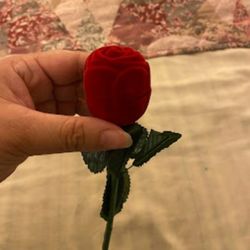 🌹 Red Rose Flower 🌹 Ring Case For Gift 🎁 