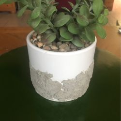 Table Decor. Faux Succulent   