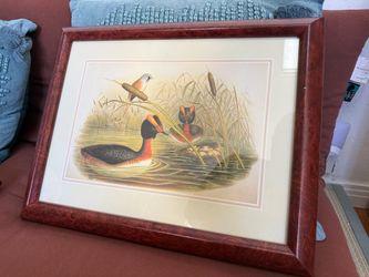 Framed Bird Print with Burl Wood Frame