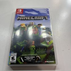 Minecraft Switch