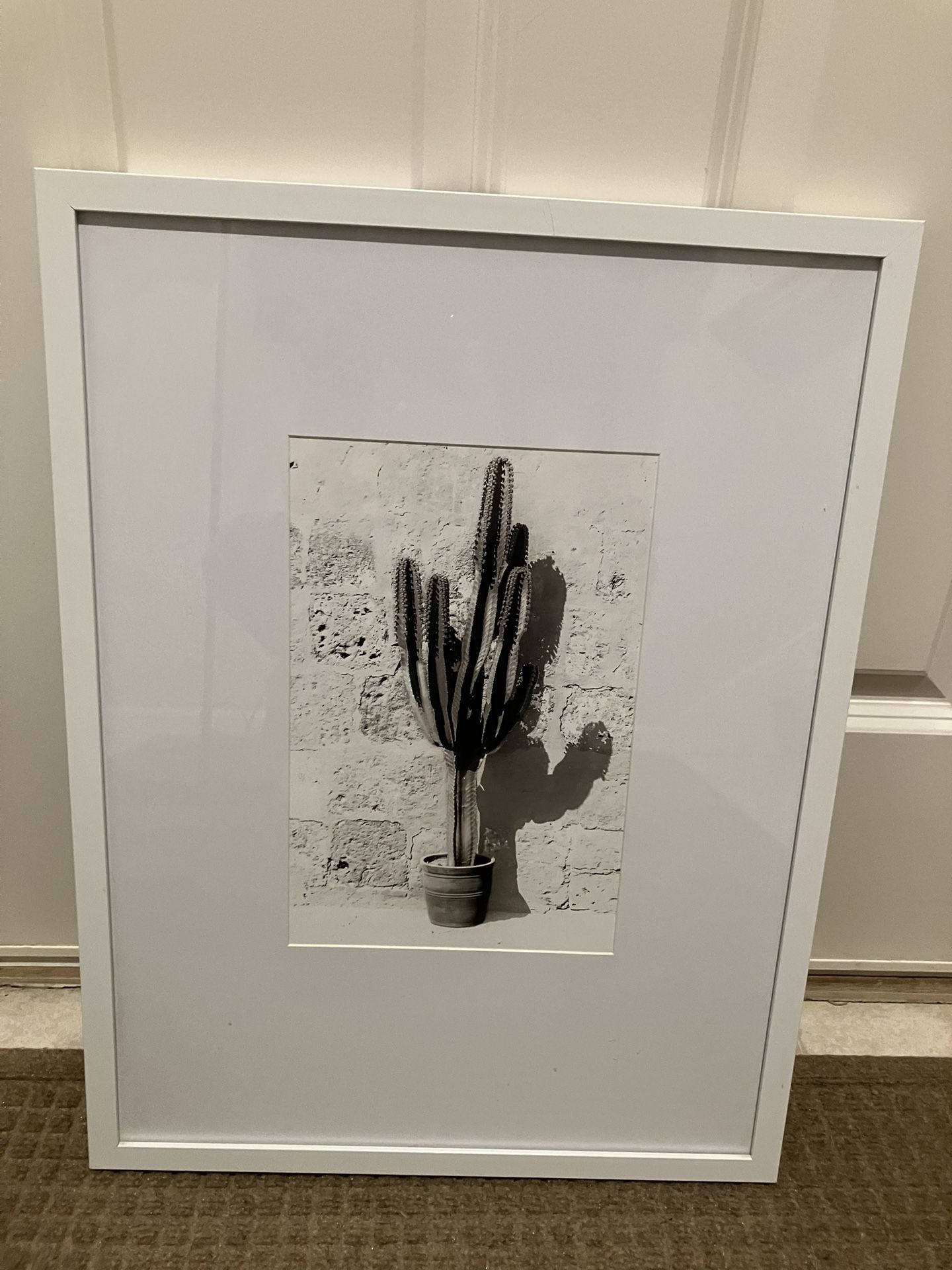 Framed Cactus Print