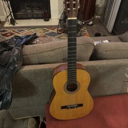 Acoustic Guitar 