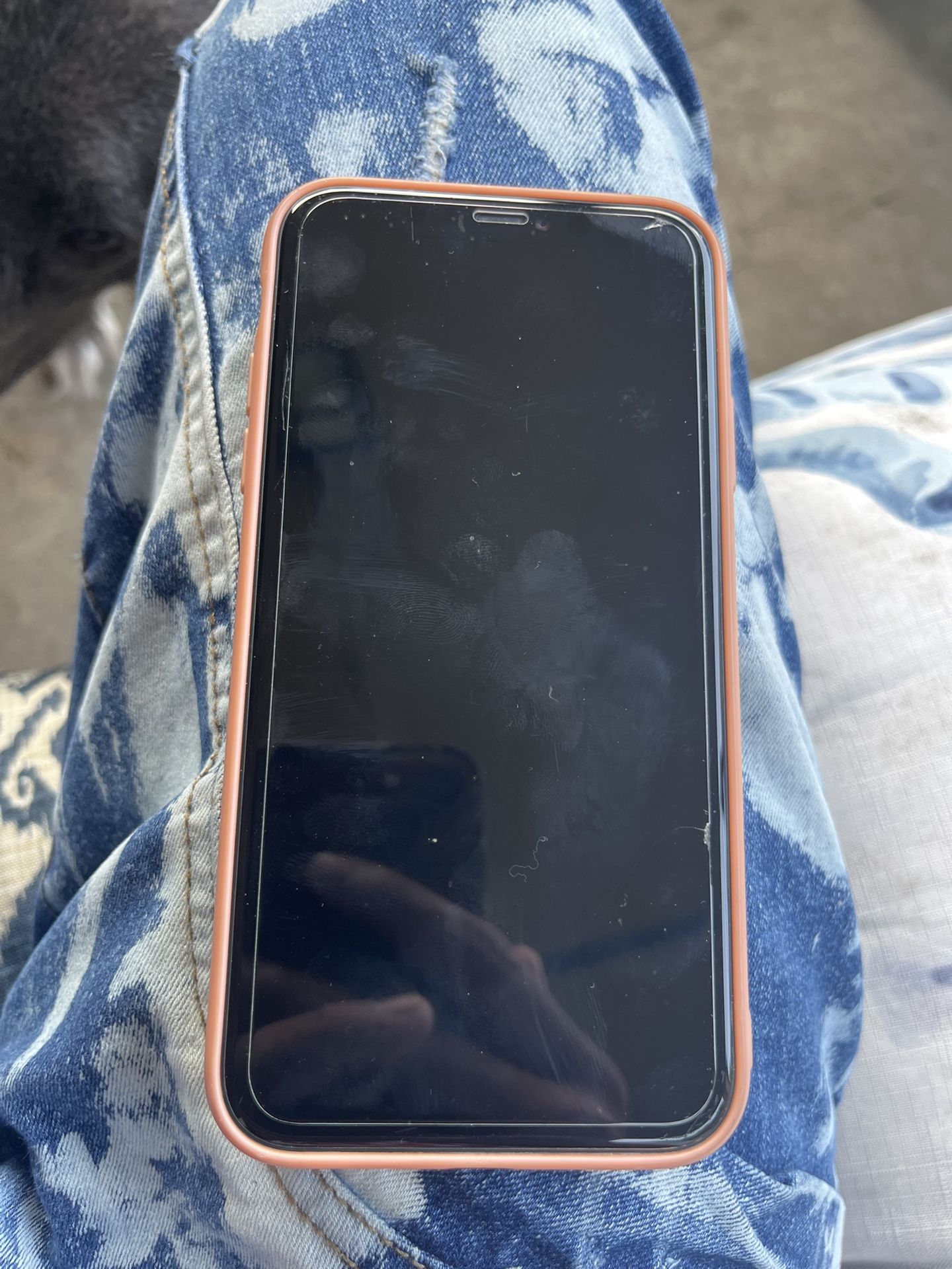 iPhone 11 [64GB