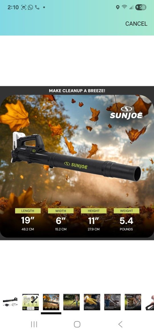 Sun Joe Jet Leaf Blower with Cordless Compact Turbine & Quick Charging, IONMAX 24V, Green - Portable Battery-Powered Electric Blower for Lawn, Garden,