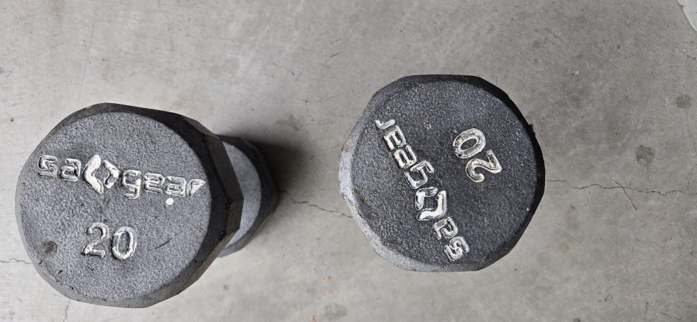 20 Lb Iron Curling Bars