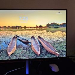 Oled Gaming Monitor 