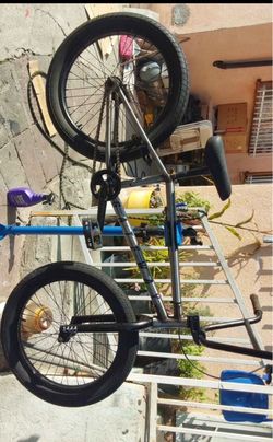 Custom BMX bike cult, Sunday, profile