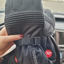 Ski Gloves