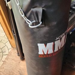 Heavy Bag