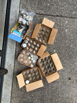 66 canning jars 3 for $1 — $20 for all