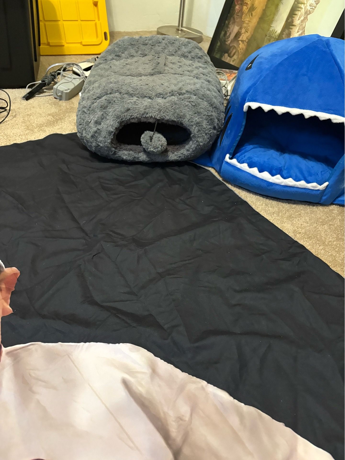 Cat Beds