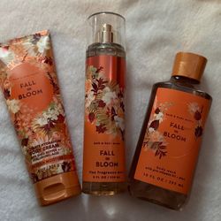 Fall In Bloom Set