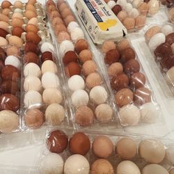 Eggs $5.50