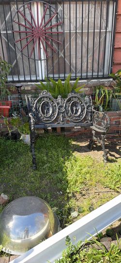 Plants and decoration