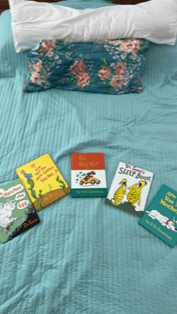 Dr. Seuss beginner large books (5)