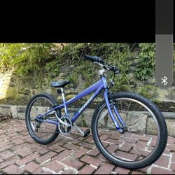 Specialized Hotrock 24""