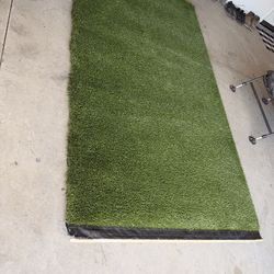 Fake grass
