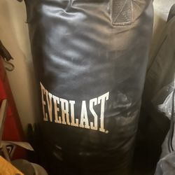 Everlast Punching Bag
