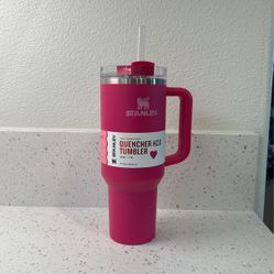 Stanley Tumbler - Target Valentine’s Day Exclusive