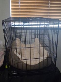 Small dog cage