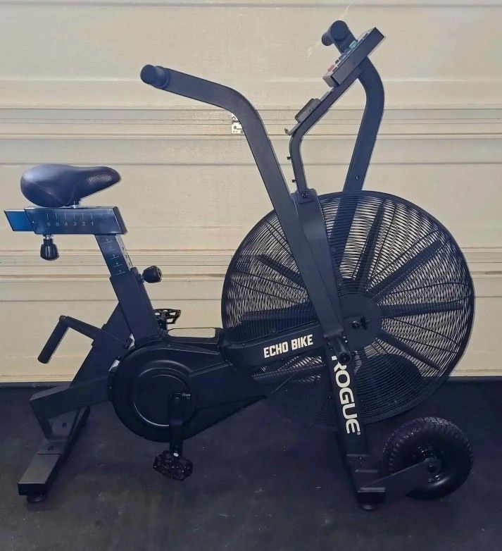 Rogues Echos Bikes