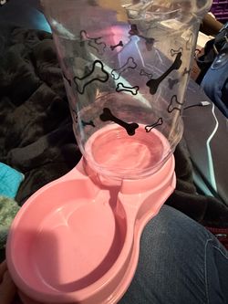 Pet feeders