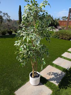 Weeping Fig Faux/Artificial Plant, ceramic pot included!  🤩 EXCELLENT condition!