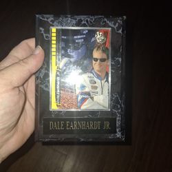 Dale Jr Wall Piece 