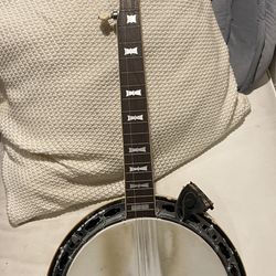 Aria Pro Seahorse Deluxe 1970’s Natural