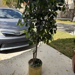 Artificial  House Plant