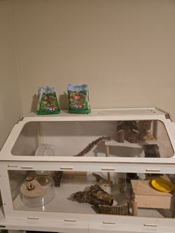 Guinea pig cage with all accessories inside