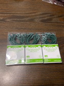 20 battery operated LED warm white mini lights