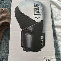Boxing Gloves Everlast
