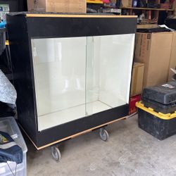 Case/ Tank 
