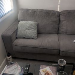Couch With 2 Throw Pillow